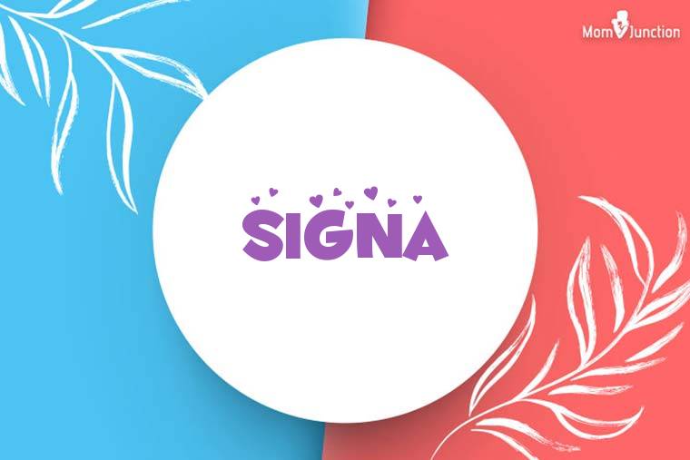 Signal电脑版新手指南
